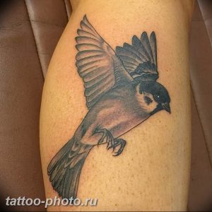 рисунка тату воробей 03.12.2018 №114 - photo tattoo sparrow - tattoo-photo.ru